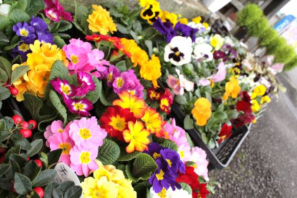 「フラワーショップ四季」　（岐阜県関市）の花屋店舗写真4